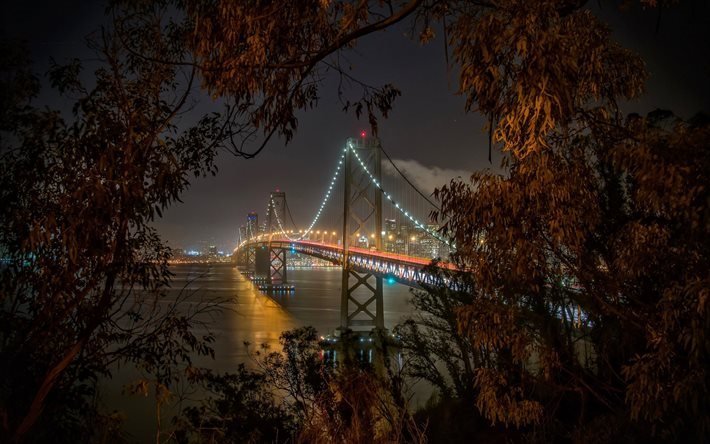 Bay Bridge, San Francisco, USA, Night, United States, California