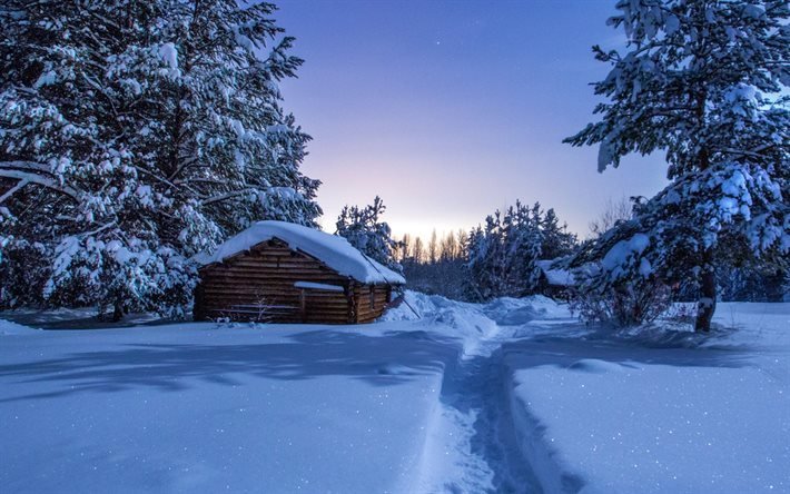 winter, forest, hut, trees, snow, morning