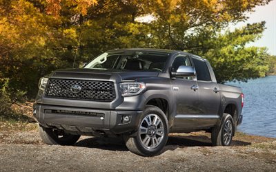 Toyota Tundra, 2018, Crewmax Platinum, gris camion pick-up, SUV Am&#233;ricain, &#233;tats-unis