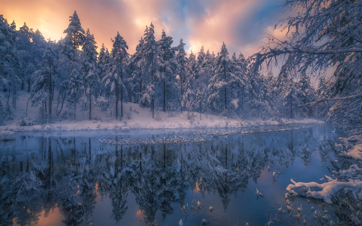inverno, rio congelado, noite, p&#244;r do sol, floresta, paisagem de inverno, neve