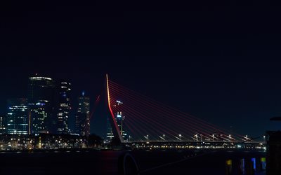Erasmusbrug, Rotterdam, Willemsbrug, Ponte Erasmus, paesi Bassi, notte, ponte sospeso, cityscape