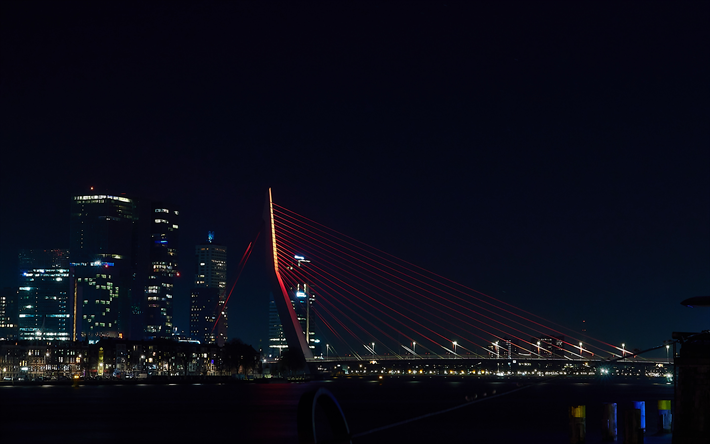 Erasmusbrug, Rotterdam, Willemsbrug, Pont Erasmus, pays-bas, la nuit, pont suspendu, paysage urbain