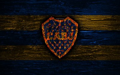 Boca Juniors FC, fire logo, Argentine Primera Division, blue and yellow lines, Argentinean football club, AAAJ, Argentina Superliga, football, soccer, logo, CA Boca Juniors, wooden texture, Argentina
