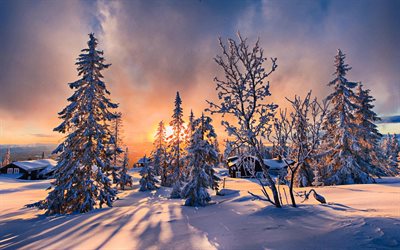 winter sunset, snowdrifts, HDR, orange sun rays, winter nature, forest, snowy trees