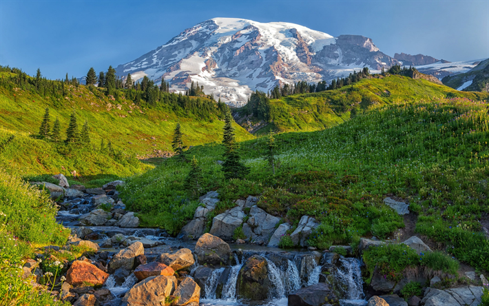 Mount Rainier, morgon, Edith Creek, Cascade Range, bergslandskap, bergsb&#228;ck, Washington State, USA
