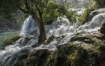 cascade, rivière de montagne, débit d'eau, matin, rivière, lever du soleil, économiser l'eau, belle cascade