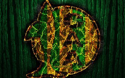 Aldosivi FC, scorched logo, Argentine Primera Division, green wooden background, Argentinean football club, Argentine Superleague, grunge, Club Aldosivi, football, soccer, Aldosivi logo, fire texture, Argentina