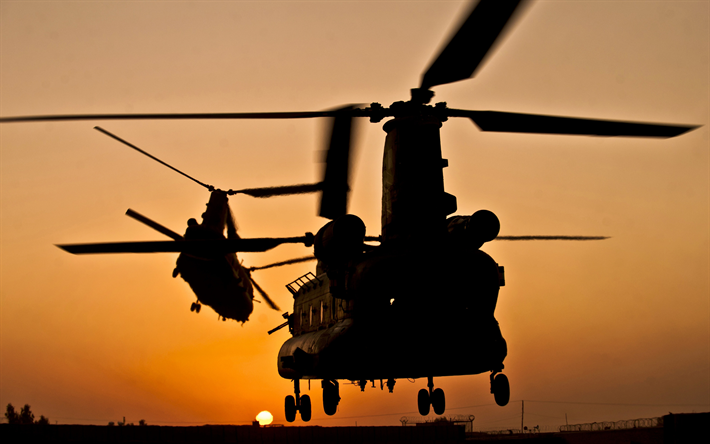Boeing CH-47 Chinook, American military transport helicopter, evening, sunset, USAF, military helicopters, Boeing