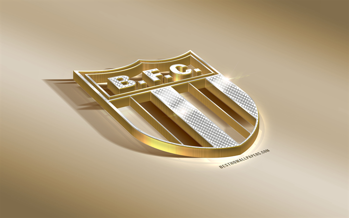 Botafogo Futebol Clube, Brasiliansk fotboll club, golden silver logotyp, Ribeirao Preto, Brasilien, Serie B, 3d gyllene emblem, kreativa 3d-konst, fotboll