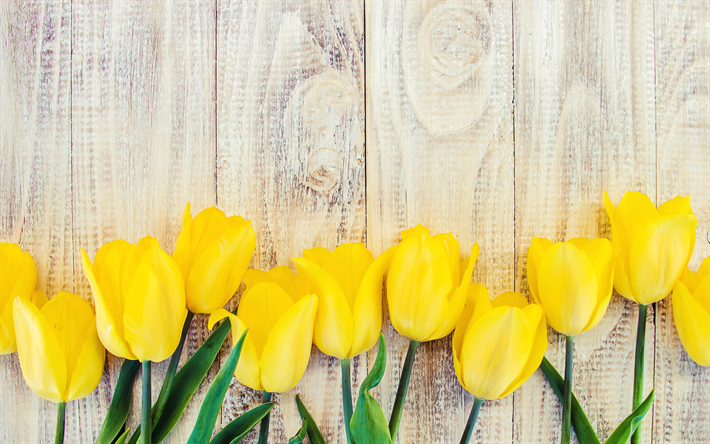 tulipes jaunes, fond de bois, panneaux lumineux, le jaune des fleurs, tulipes, de belles fleurs, le printemps