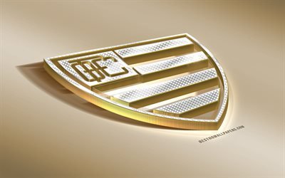 Oeste FC, Brazilian football club, golden silver logo, Itapolis, Brazil, Serie B, 3d golden emblem, creative 3d art, football
