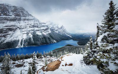 Canad&#225;, Peyto Lake, inverno, floresta, montanhas