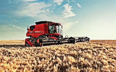 Case IH, Axial Flow, harvesting, combine, wheat, Case, Harvester, Axial Flow 7230