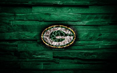 Green Bay Packers, 4k, المحروقة شعار, اتحاد كرة القدم الأميركي, الأخضر خلفية خشبية, الأمريكي للبيسبول, المؤتمر الوطني لكرة القدم, الجرونج, البيسبول, غرين باي باكرز شعار, النار الملمس, الولايات المتحدة الأمريكية, NFC