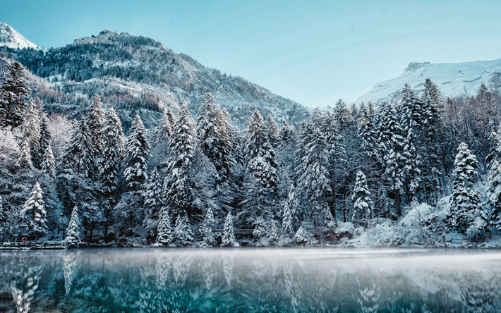 Switzerland, winter, lake, snowy forest, HDR, mountains, Europe