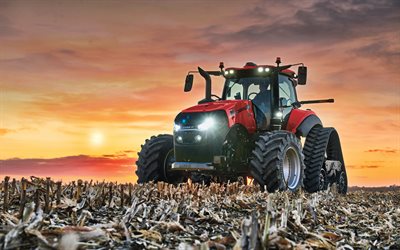 Case IH Magnum 340, 4k, raccolto, 2019 trattori, macchine agricole, HDR, la raccolta di mais, trattore in campo, agricoltura, Case