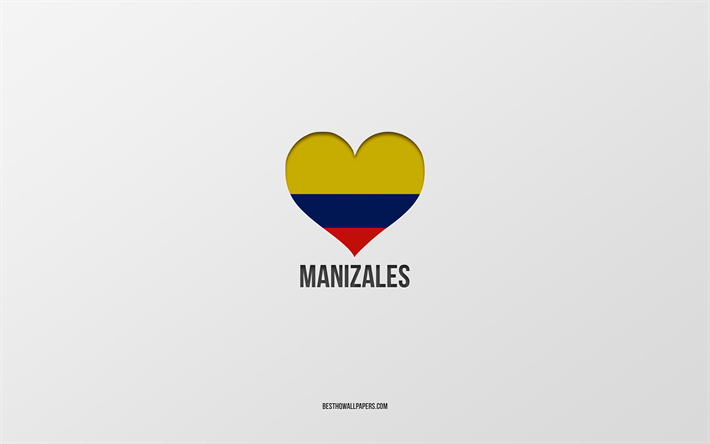 i love manizales, colombianska st&#228;der, day of manizales, gr&#229; bakgrund, manizales, colombia, colombianska flagghj&#228;rta, favoritst&#228;der, love manizales