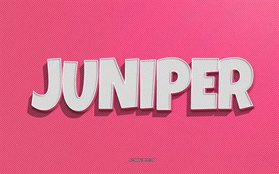 Juniper, pink lines background, wallpapers with names, Juniper name, female names, Juniper greeting card, line art, picture with Juniper name