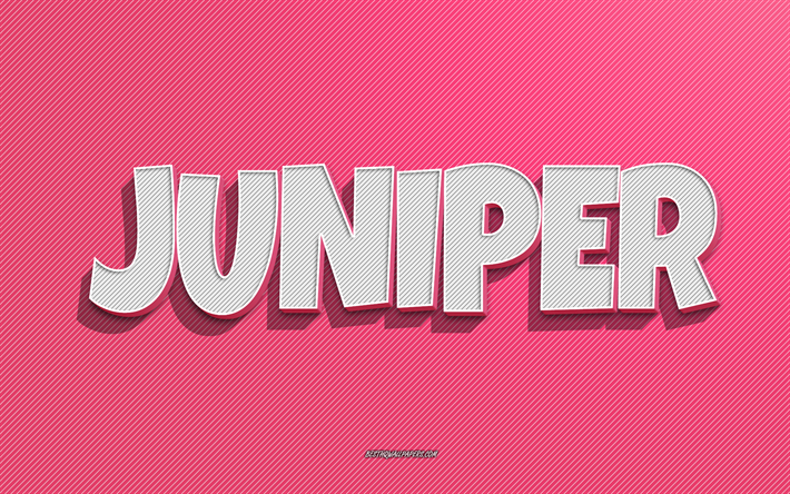juniper, fond de lignes roses, fonds d &#233;cran avec noms, nom juniper, noms f&#233;minins, carte de voeux juniper, dessin au trait, photo avec nom juniper