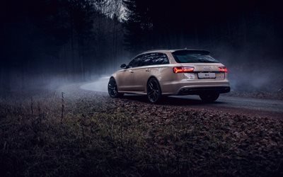 Audi RS6 Avant, la strada forestale, 2017 auto, nebbia, carri, beige rs6, audi