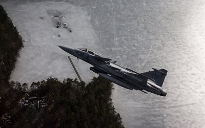 Swedish fighter, Saab JAS 39 Gripen, Swedish Air Force, military aircraft, coast, Sweden, Swedish Armed Forces