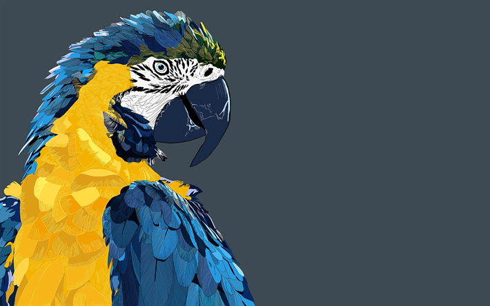 low poly art, macaw, parrot, 4k, birds, 3d art