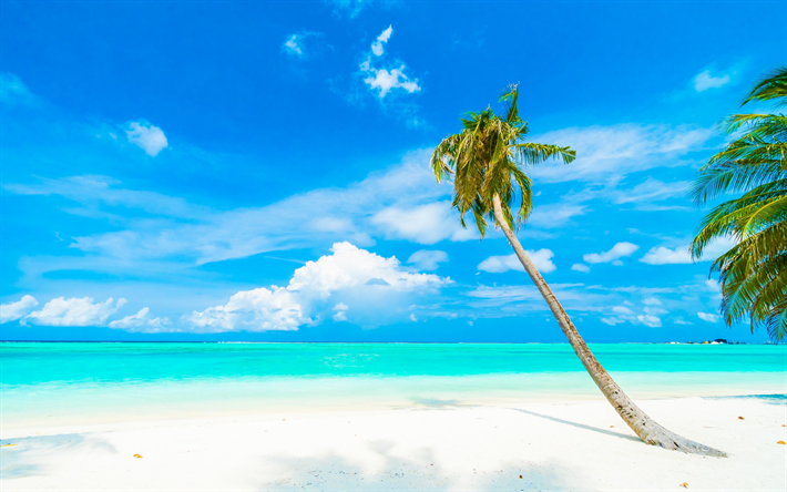 la laguna azul, playa, isla tropical, palmeras, verano, viaje, oc&#233;ano, nubes blancas