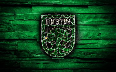 Austin FC, burning logo, MLS, green wooden background, american football club, FC Austin, grunge, football, soccer, Austin logo, Austin, USA