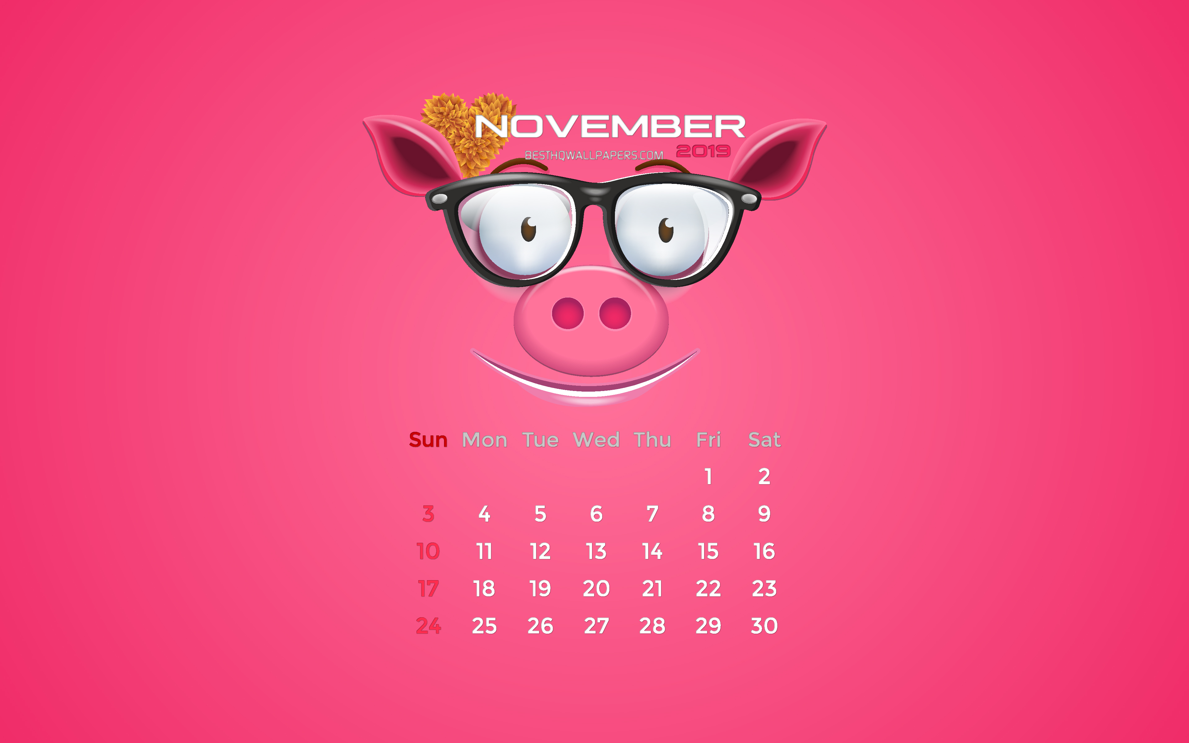 Download Wallpapers November 2019 Calendar 4k Autumn Pink Piggy