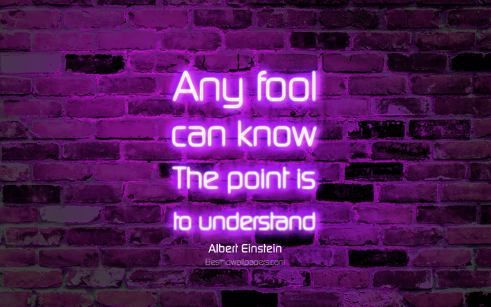 Any fool can know The point is to understand, 4k, violet brick wall, Albert Einstein Quotes, neon text, inspiration, Albert Einstein, quotes about understanding