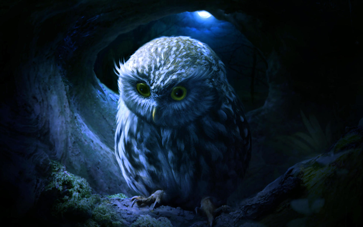 Small Owl, wildlife, owl in the nest, moon, night, predatory bird, Owl at night, Owl, Strigiformes