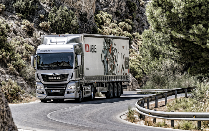 2019, Man TGX, truck with a trailer, truck on the highway, new white TGX, trucking concepts, cargo delivery concepts