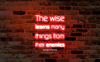 Le sage apprend beaucoup de choses de leurs ennemis, 4k, orange, mur de briques, Aristophane Cite, de n&#233;on, de texte, d&#39;inspiration, d&#39;Aristophane, des citations sur l&#39;apprentissage