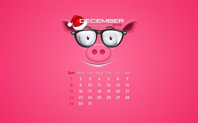 December 2019 Kalender, 4k, vinter, rosa grisen, 2019 kalender, December 2019, kreativa, piggy med tomteluva, December 2019 kalender med gris, Kalendern December 2019, rosa bakgrund, 2019 kalendrar