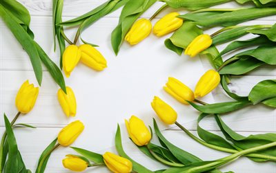 yellow tulips frame, spring frame, tulips, yellow spring flowers, white wooden background