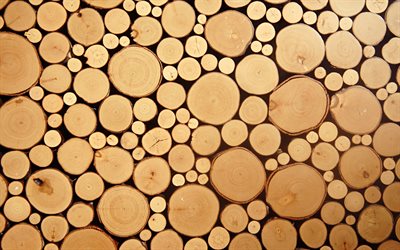 toras de madeira texturas, macro, marrom de madeira de textura, c&#237;rculos de madeira, de madeira marrom fundos, texturas de madeira, toras de madeira, brown fundos