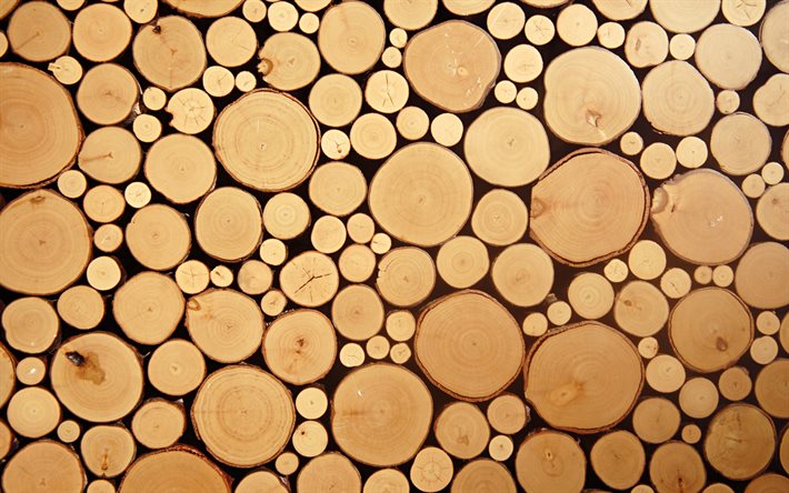 la madera de los registros de texturas, macro, marr&#243;n de madera de la textura, de los c&#237;rculos de madera, de madera de casta&#241;o fondos, texturas de madera, troncos de madera, marr&#243;n fondos