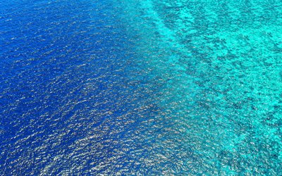 ocean, 4k, aerial view, tropics, paradise, waves, sea, blue water background, beautiful nature