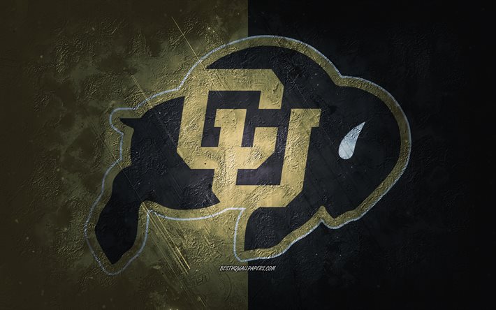 Colorado Buffaloes, time de futebol americano, fundo cinza dourado, logotipo do Colorado Buffaloes, arte grunge, NCAA, futebol americano, EUA, Colorado Buffaloes emblema