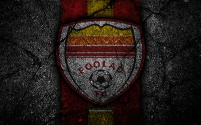 Foolad FC, 4k, emblema, Golfo P&#233;rsico Pro League, futebol, Iran, Foolad, pedra preta, logo, a textura do asfalto, Iraniana de futebol do clube