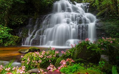 waterfall, beautiful lake, rocks, stones, spring, pink flowers, moss