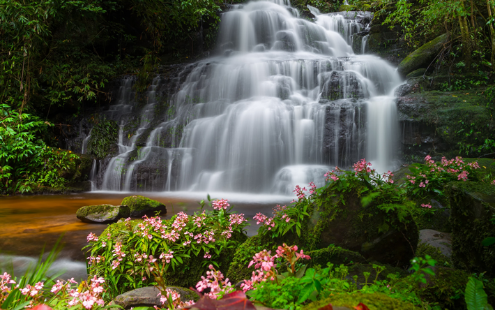 cachoeira, belo lago, rochas, pedras, primavera, flores cor de rosa, musgo