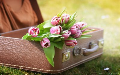 pink tulips, brown leather suitcase, spring flowers, green grass