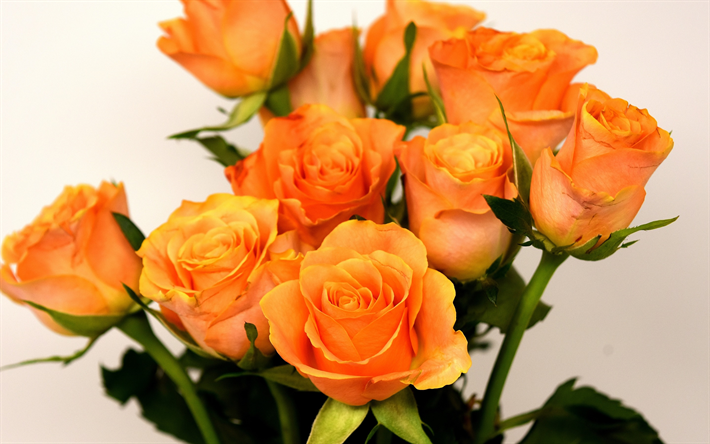 rose arancioni, bellissimo mazzo di fiori, boccioli di rosa, fiori d&#39;arancio, rose