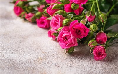 rosa rosor, vackra rosa blommor, rosor bakgrund, rosenknoppar, bukett