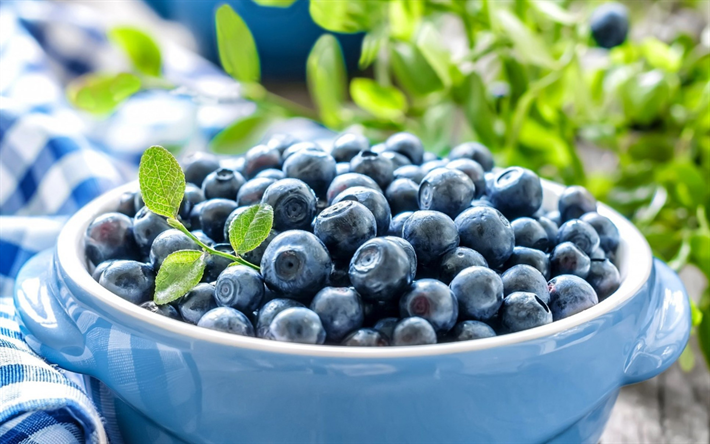 blueberries, plate of berries, blue berries, wild berries, useful berries for eyes