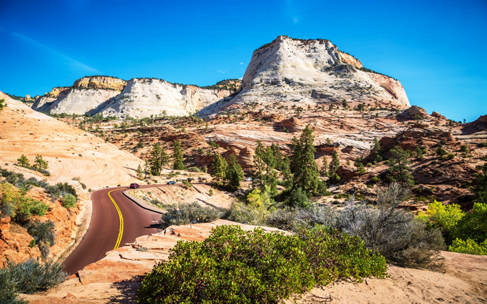 paesaggio di montagna, rocce, bel paesaggio, Parco Nazionale di Zion, Utah, USA