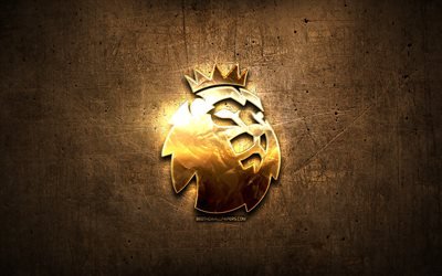 Premier League golden logo, artwork, football leagues, brown metal background, creative, Premier League logo, brands, Premier League