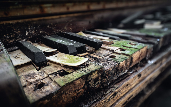 old piano keys, old piano, wooden piano keys, wood, moss