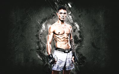Felipe Colares, MMA, UFC, Brazilian fighter, gray stone background, Felipe Colares art, Ultimate Fighting Championship